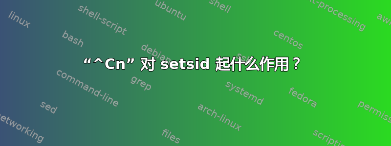 “^Cn” 对 setsid 起什么作用？