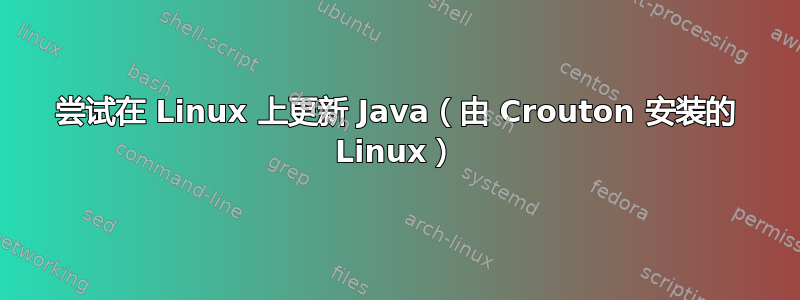 尝试在 Linux 上更新 Java（由 Crouton 安装的 Linux）