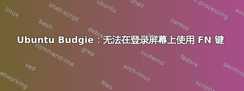 Ubuntu Budgie：无法在登录屏幕上使用 FN 键