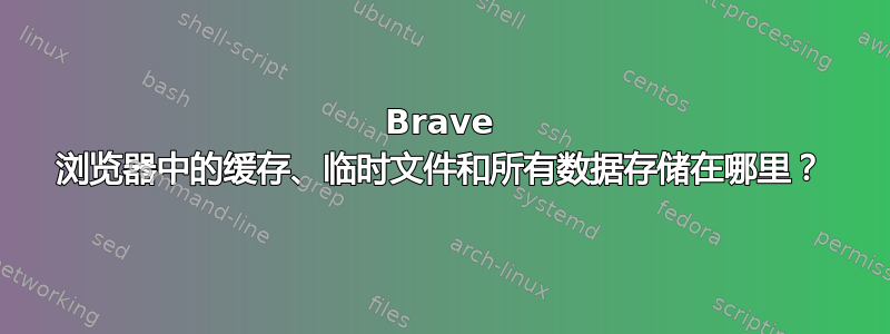 Brave 浏览器中的缓存、临时文件和所有数据存储在哪里？