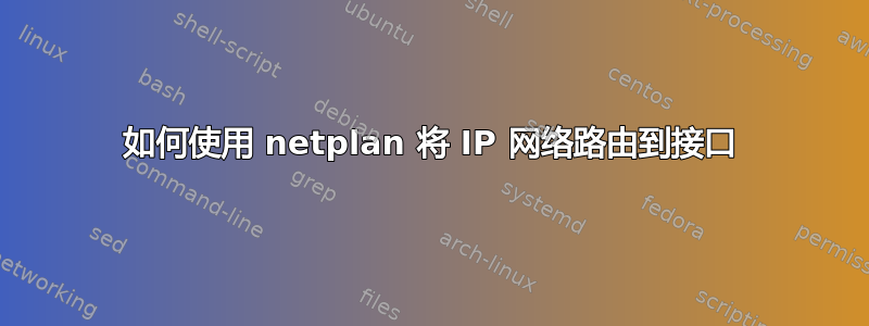 如何使用 netplan 将 IP 网络路由到接口