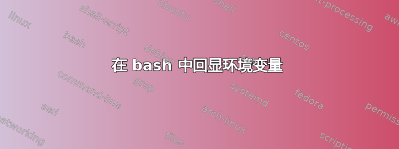 在 bash 中回显环境变量