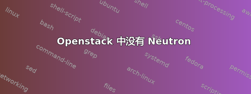 Openstack 中没有 Neutron