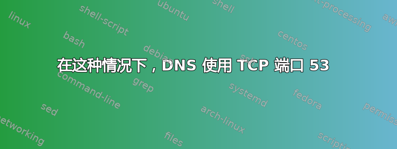 在这种情况下，DNS 使用 TCP 端口 53 