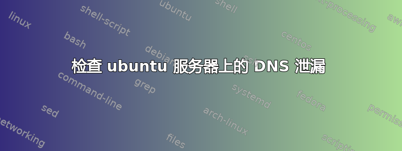 检查 ubuntu 服务器上的 DNS 泄漏