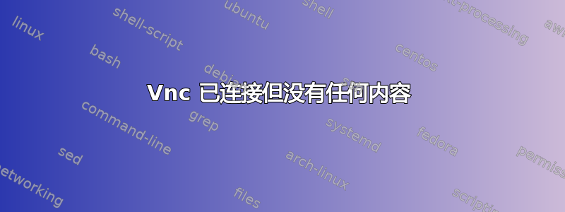 Vnc 已连接但没有任何内容