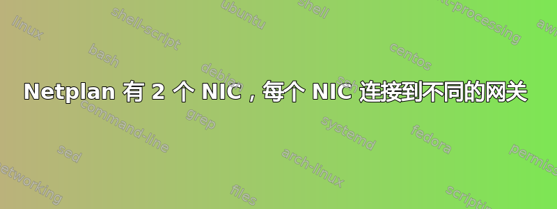 Netplan 有 2 个 NIC，每个 NIC 连接到不同的网关