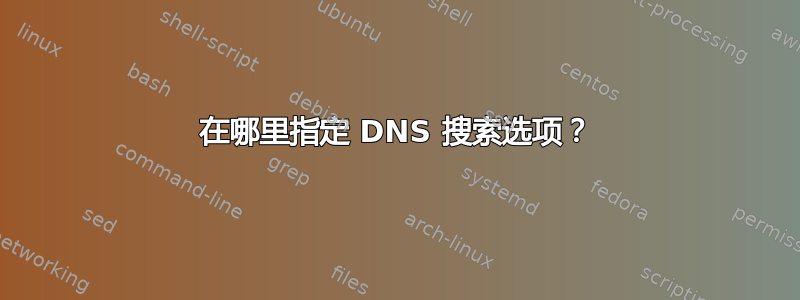 在哪里指定 DNS 搜索选项？