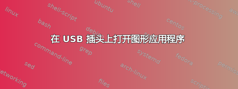 在 USB 插头上打开图形应用程序