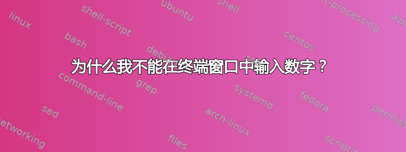 为什么我不能在终端窗口中输入数字？