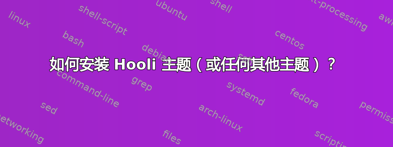 如何安装 Hooli 主题（或任何其他主题）？