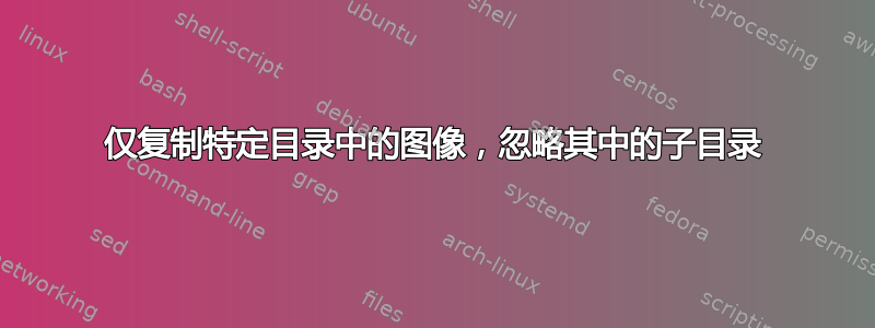 仅复制特定目录中的图像，忽略其中的子目录