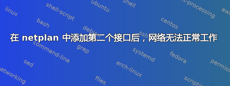 在 netplan 中添加第二个接口后，网络无法正常工作