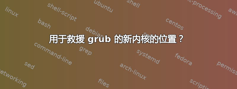 用于救援 grub 的新内核的位置？