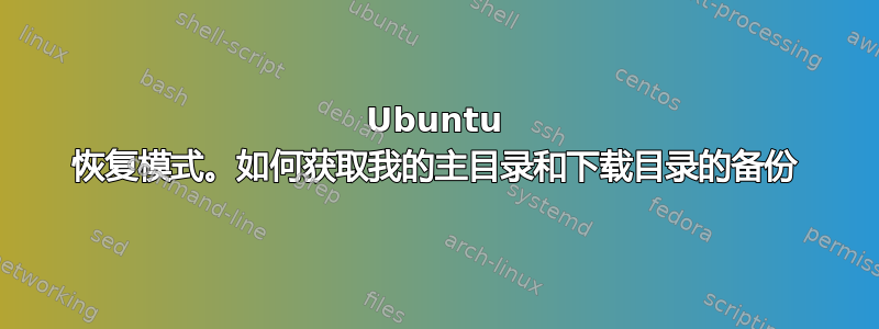 Ubuntu 恢复模式。如何获取我的主目录和下载目录的备份