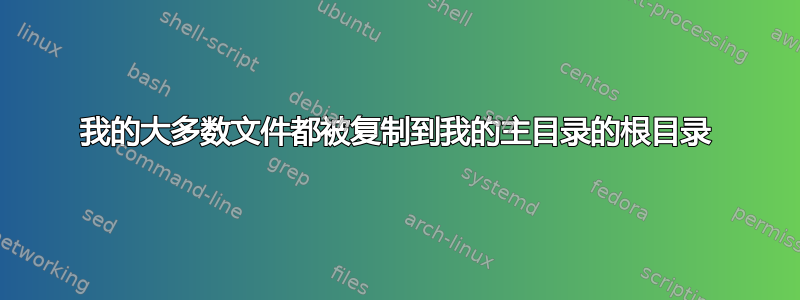 我的大多数文件都被复制到我的主目录的根目录