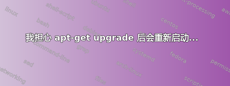 我担心 apt-get upgrade 后会重新启动... 