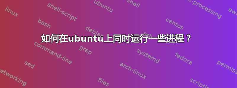 如何在ubuntu上同时运行一些进程？