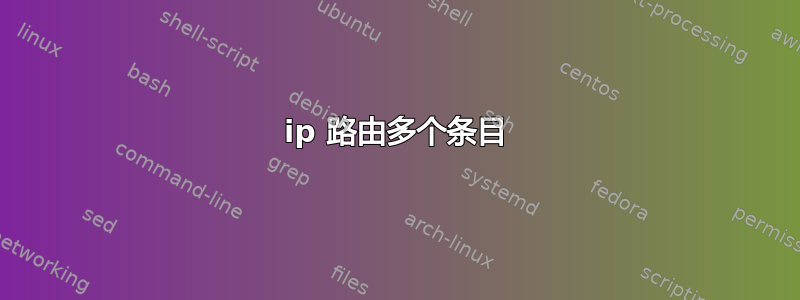 ip 路由多个条目