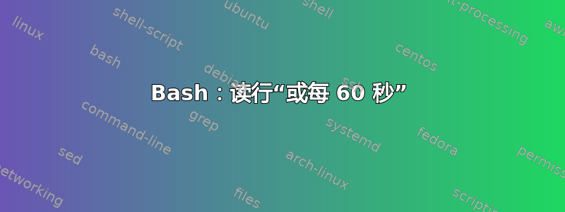 Bash：读行“或每 60 秒”