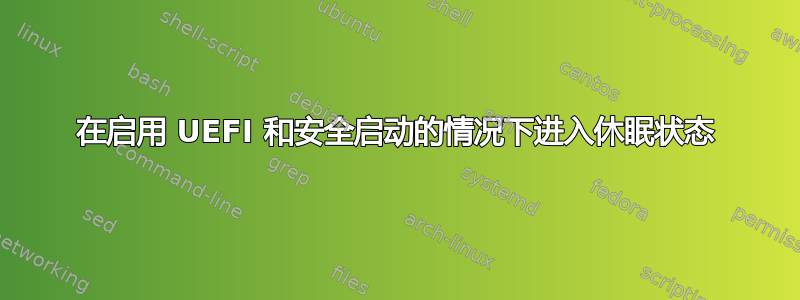 在启用 UEFI 和安全启动的情况下进入休眠状态