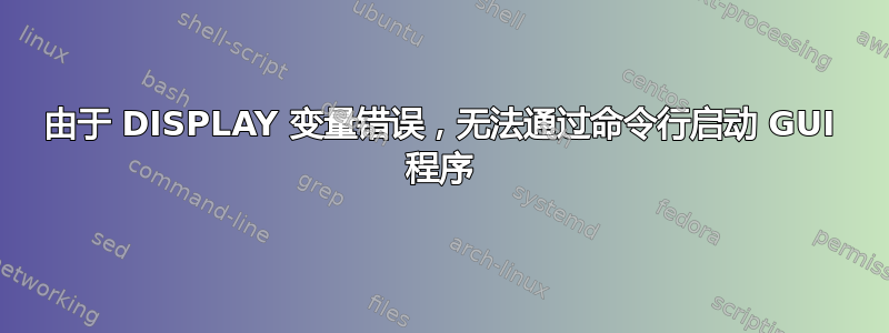 由于 DISPLAY 变量错误，无法通过命令行启动 GUI 程序