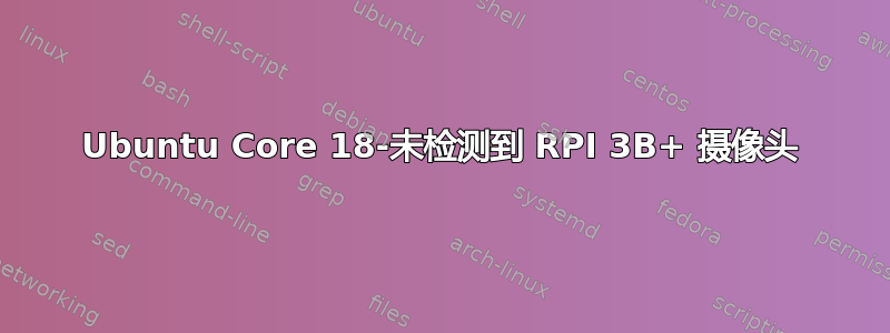 Ubuntu Core 18-未检测到 RPI 3B+ 摄像头