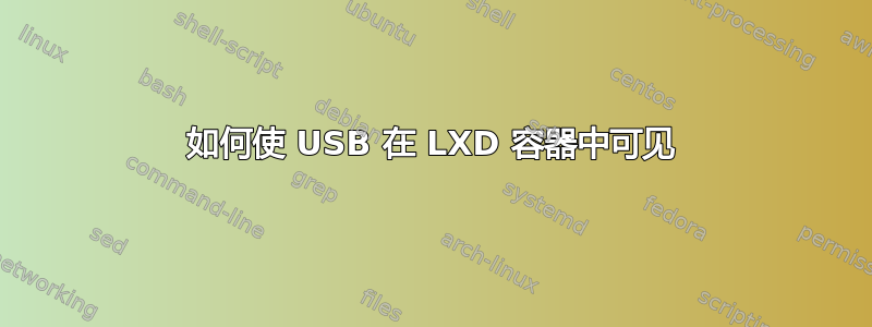 如何使 USB 在 LXD 容器中可见