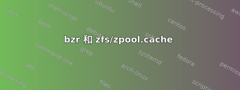 bzr 和 zfs/zpool.cache