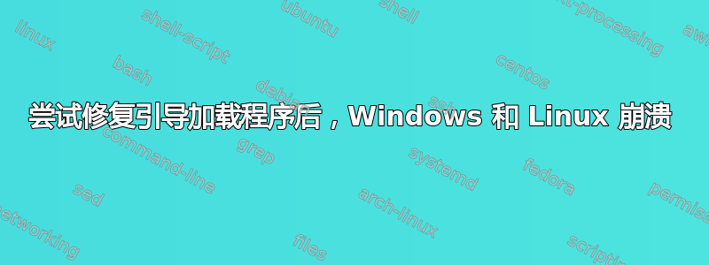 尝试修复引导加载程序后，Windows 和 Linux 崩溃