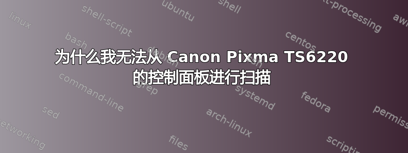 为什么我无法从 Canon Pixma TS6220 的控制面板进行扫描