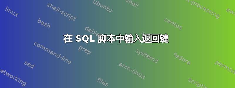 在 SQL 脚本中输入返回键