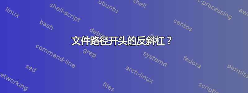 文件路径开头的反斜杠？