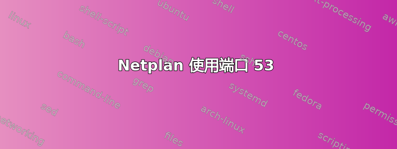 Netplan 使用端口 53