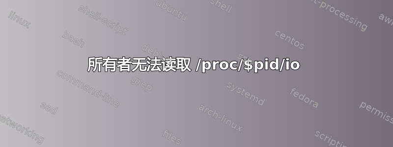 所有者无法读取 /proc/$pid/io