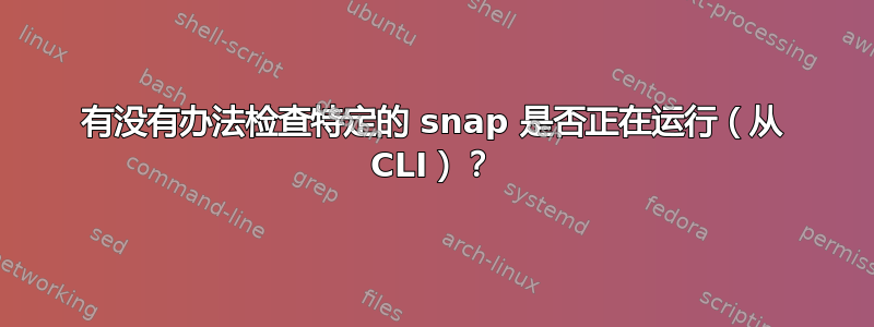 有没有办法检查特定的 snap 是否正在运行（从 CLI）？