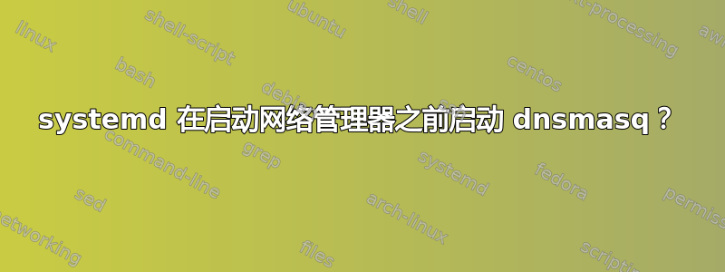 systemd 在启动网络管理器之前启动 dnsmasq？