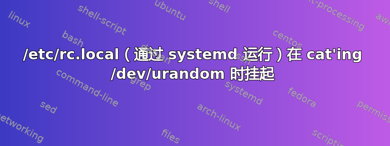 /etc/rc.local（通过 systemd 运行）在 cat'ing /dev/urandom 时挂起