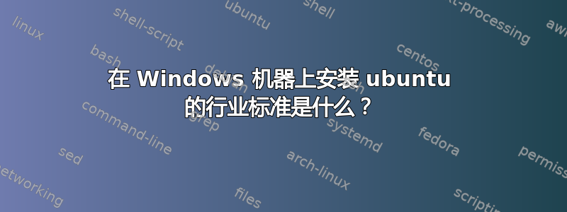 在 Windows 机器上安装 ubuntu 的行业标准是什么？