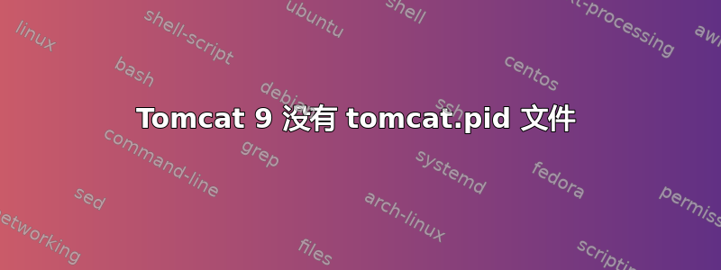 Tomcat 9 没有 tomcat.pid 文件