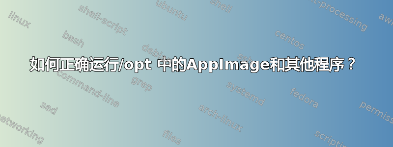 如何正确运行/opt 中的AppImage和其他程序？