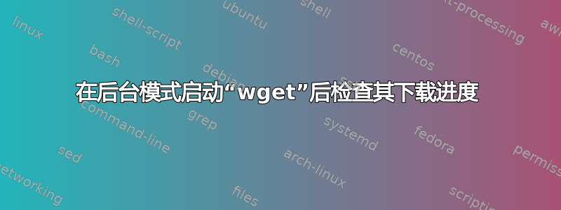 在后台模式启动“wget”后检查其下载进度