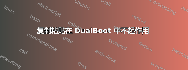 复制粘贴在 DualBoot 中不起作用