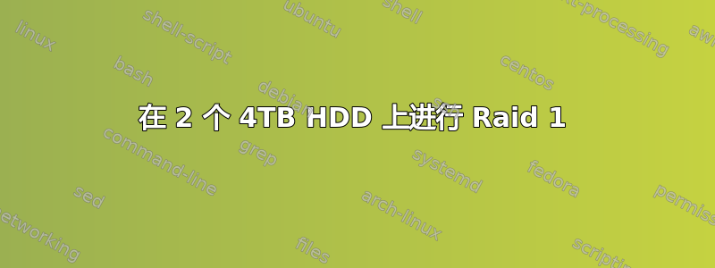 在 2 个 4TB HDD 上进行 Raid 1