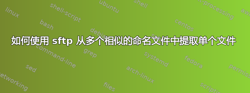 如何使用 sftp 从多个相似的命名文件中提取单个文件