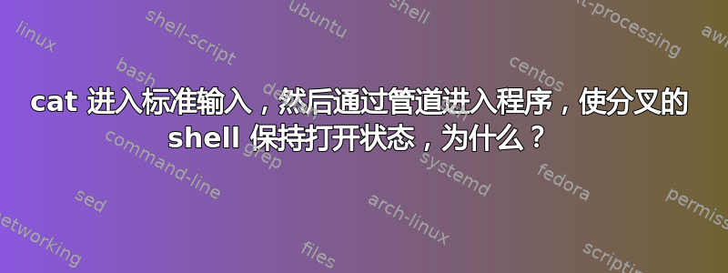 cat 进入标准输入，然后通过管道进入程序，使分叉的 shell 保持打开状态，为什么？