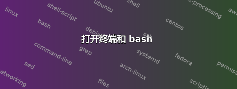 打开终端和 bash