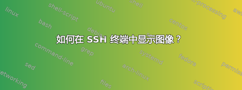 如何在 SSH 终端中显示图像？