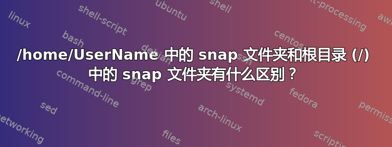 /home/UserName 中的 snap 文件夹和根目录 (/) 中的 snap 文件夹有什么区别？