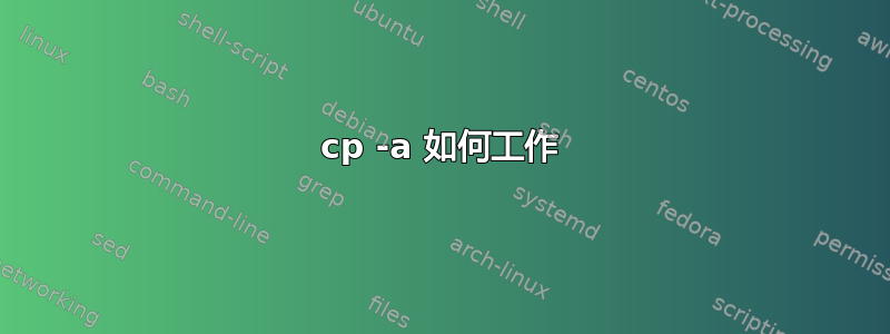 cp -a 如何工作